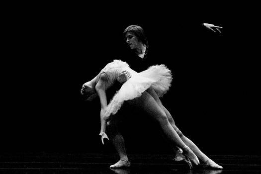 Swan Lake I