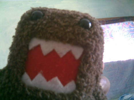 Domo :3