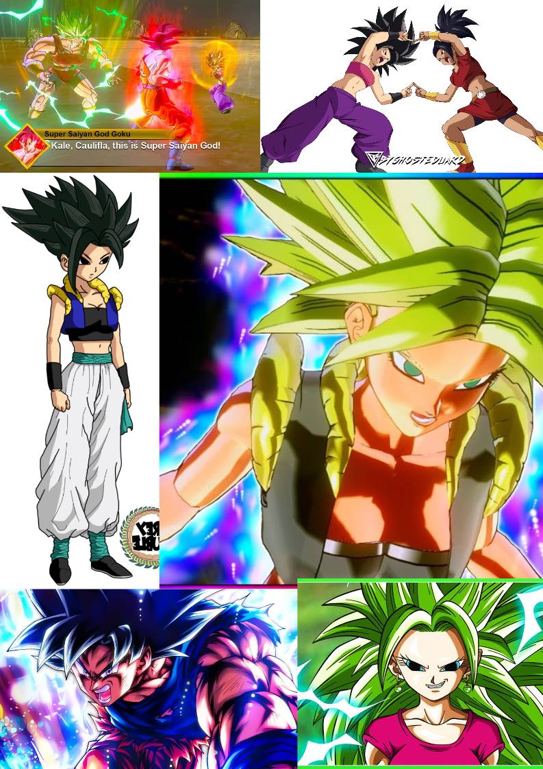 DBZ Girls Swap by BlazingShadic on DeviantArt