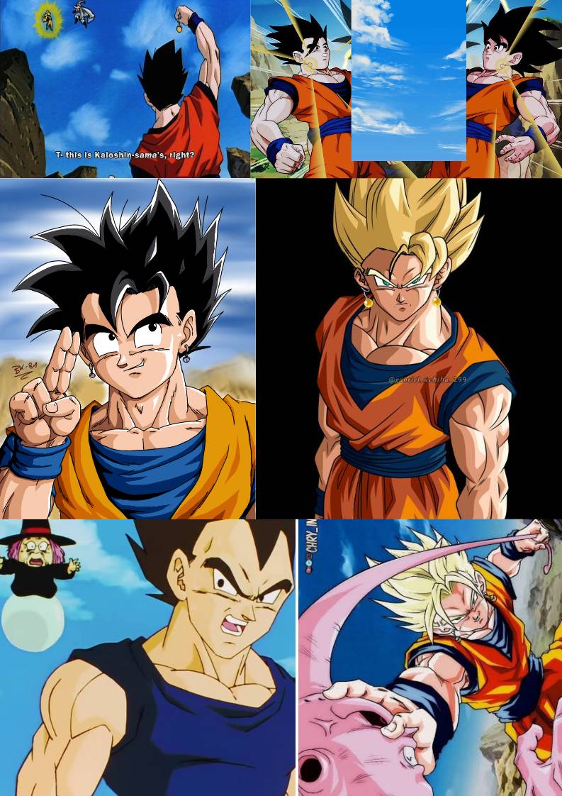Potara Fusing Goku And Gohan Potara Fusion