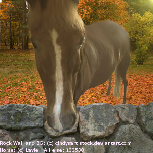 Lavie's Beast by SpringFluffles Lavie's Beast by SpringFluffles