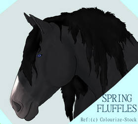 Springfluffles