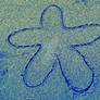 Starfish: Symbol of Friendship ll