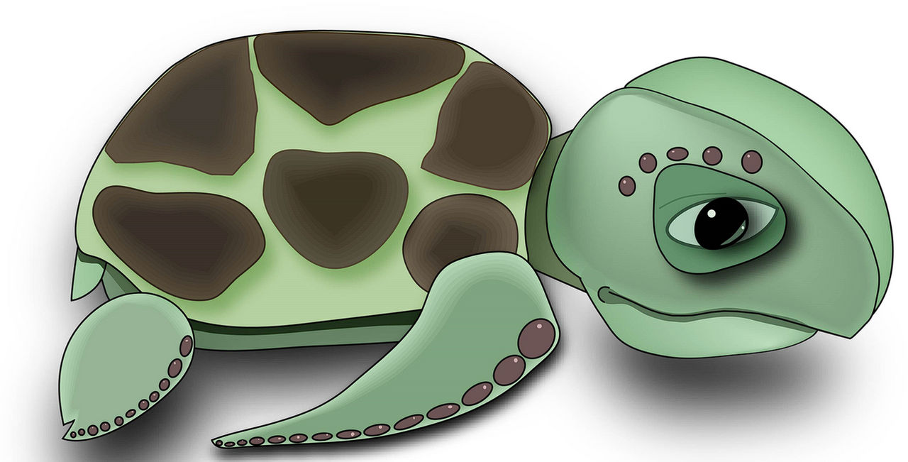 Turtle by chalcopteryx on DeviantArt