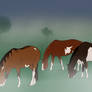Senior Paint Broodmares