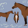 VF Ridin' Crazy - SOLD