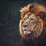 daydreamer art+design wildlife ai