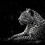 WildHeart Visions: AI-Crafted Wildlife Masterpiece