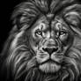 WildHeart Visions: AI-Crafted Wildlife Masterpiece