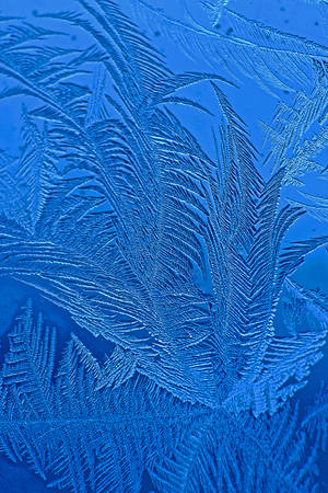 Frost Feathers by MikeDaBadger Frost Feathers by MikeDaBadger