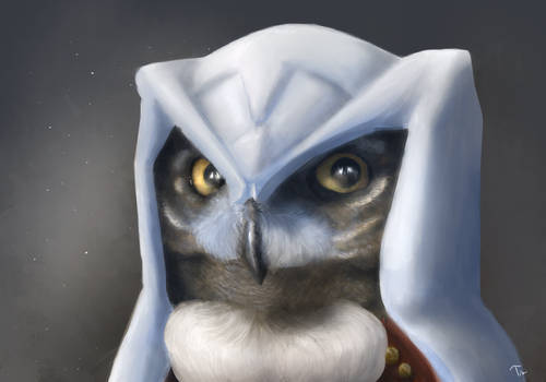 The Owl Executioner