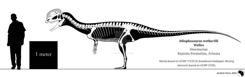 Dilophsaurus wetherilli Skeletal Reconstruction