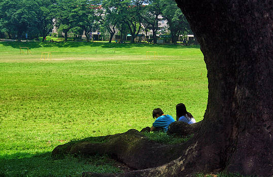 UPD: Sunken Garden