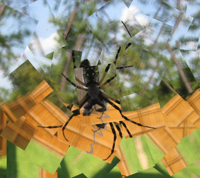 cubed spider by SirenXx on DeviantArt