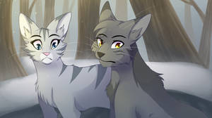 Warrior Cats AMV Redraw~Hymn for the Missing