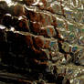 Metal I
