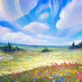 Summer field