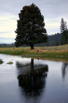 Yellowstone River