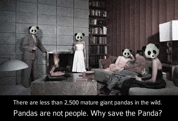 Pandas are not people.