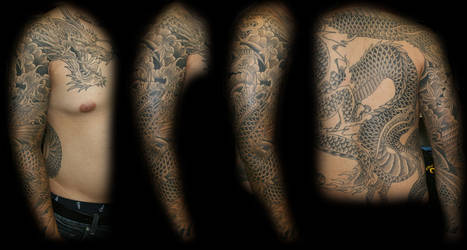 Dragon arm and back sleeve