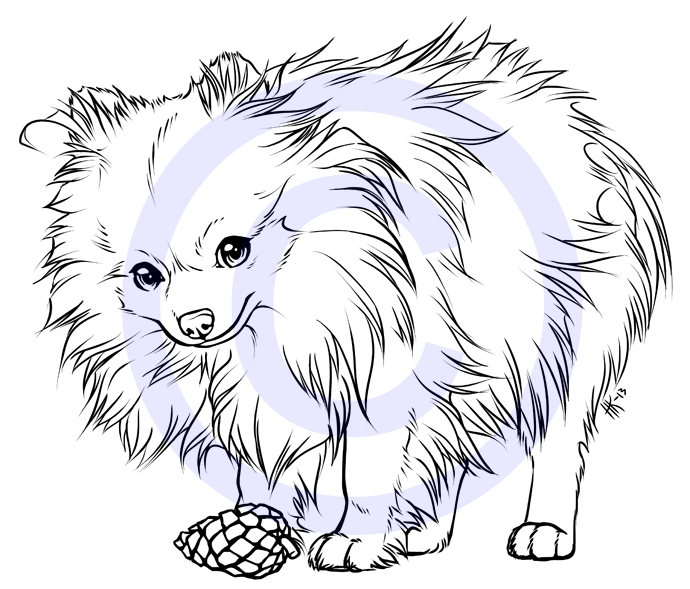 Mini the Pomeranian -tattoo design-