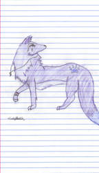 OC: Kayco (wolf form)