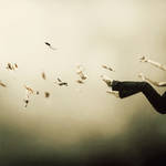 I Was Falling High by MartinStranka