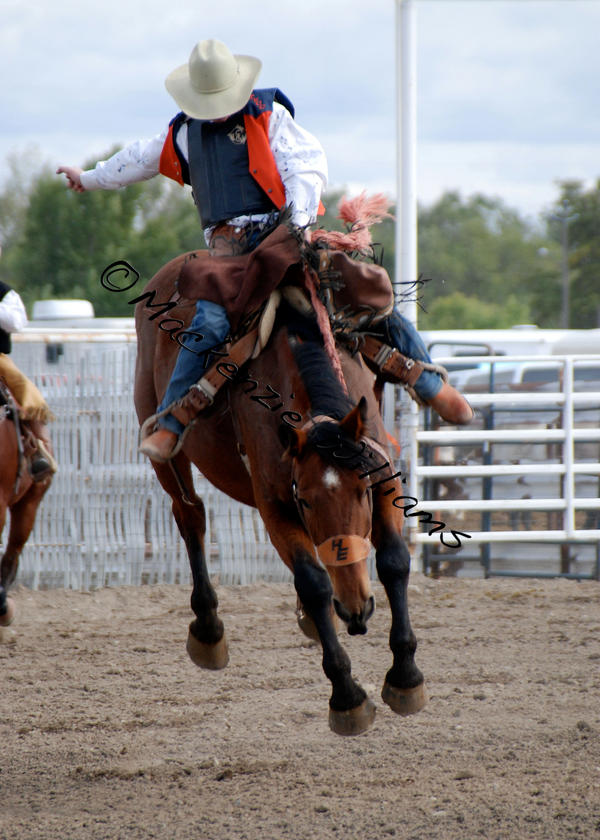 TVCC: Ride'em by saudimack on DeviantArt