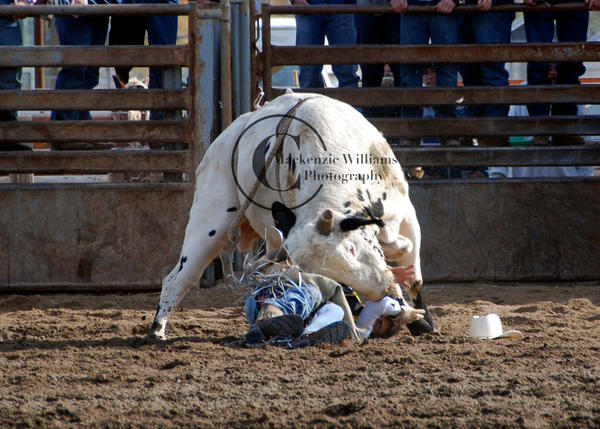 TVCC 08: Down n for the Count by saudimack