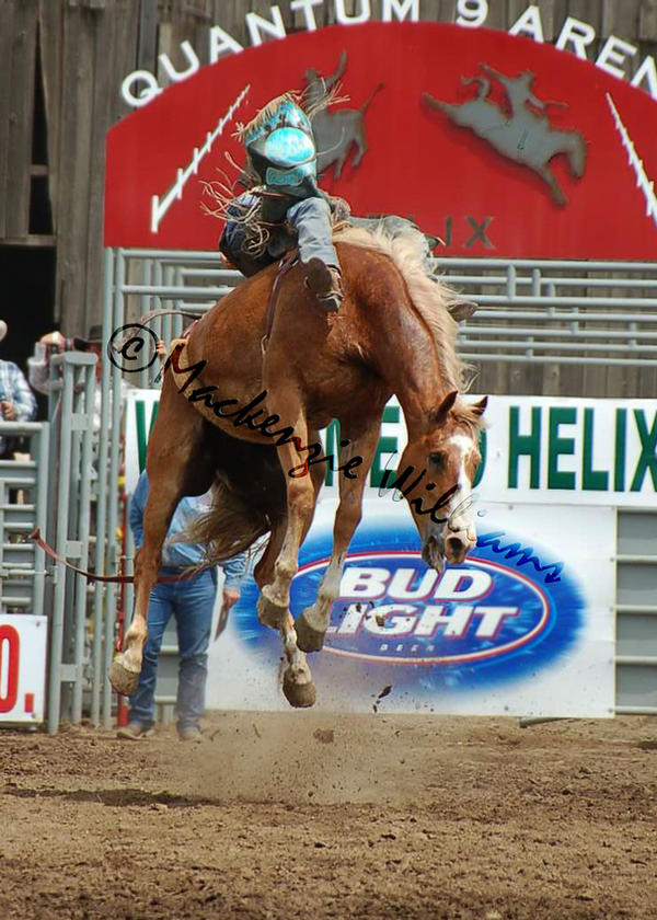 Helix Rodeo Helix: Teaser Photo by saudimack on DeviantArt