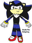 Shadic the Hedgehog by ShadaDX