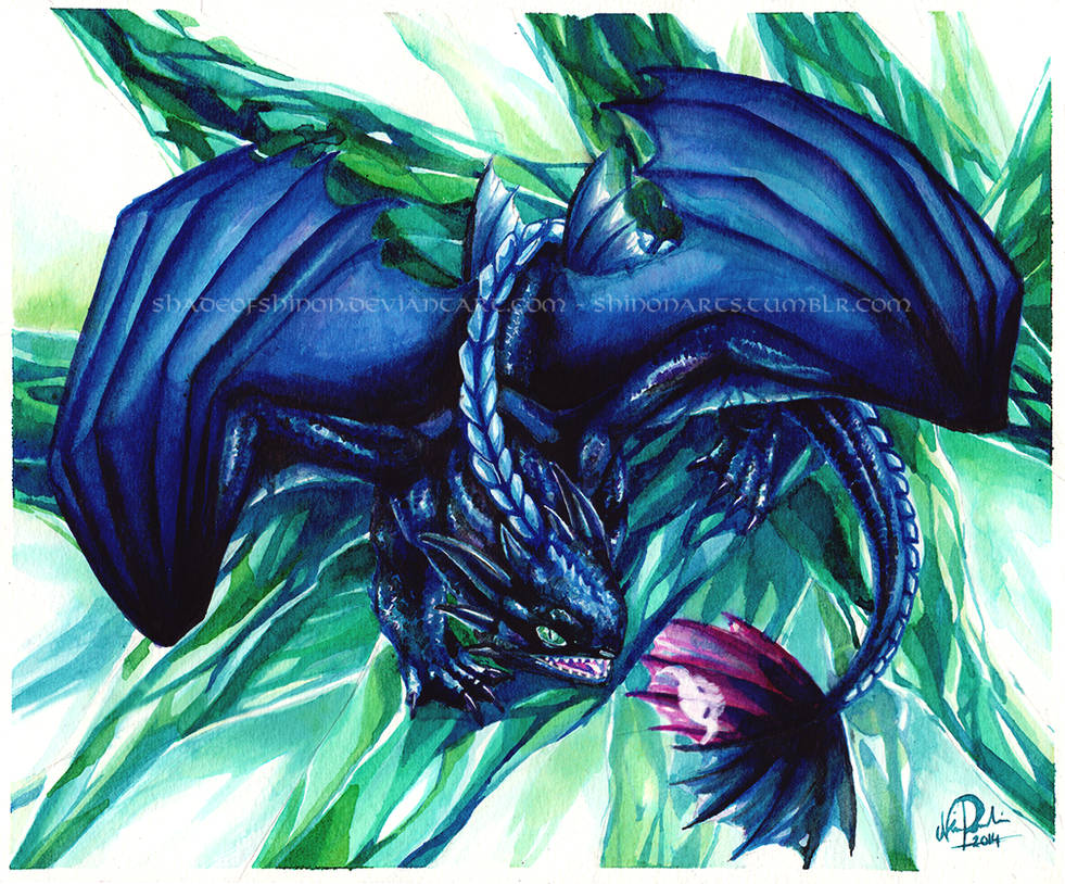 Toothless' Challenge by ShadeofShinon on DeviantArt