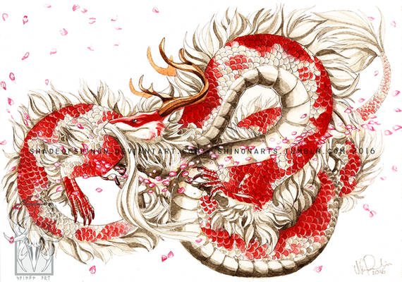 Koi Dragon