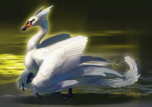 Swan Dragon