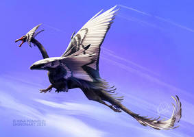 Black Swan Dragon