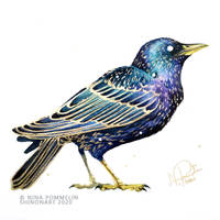 Starling