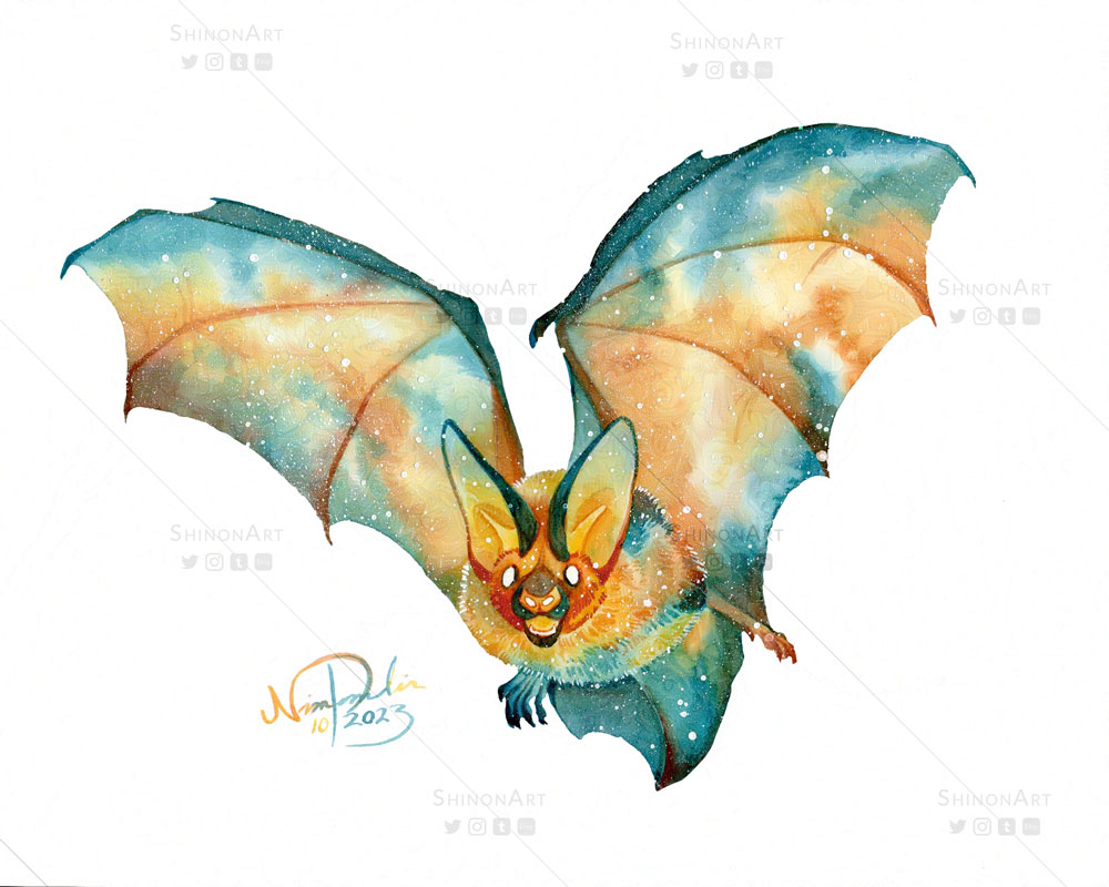 Colorful Bats Deviantart Galaxy Bat by ShadeofShinon on DeviantArt