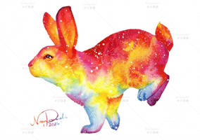 Galaxy bunny