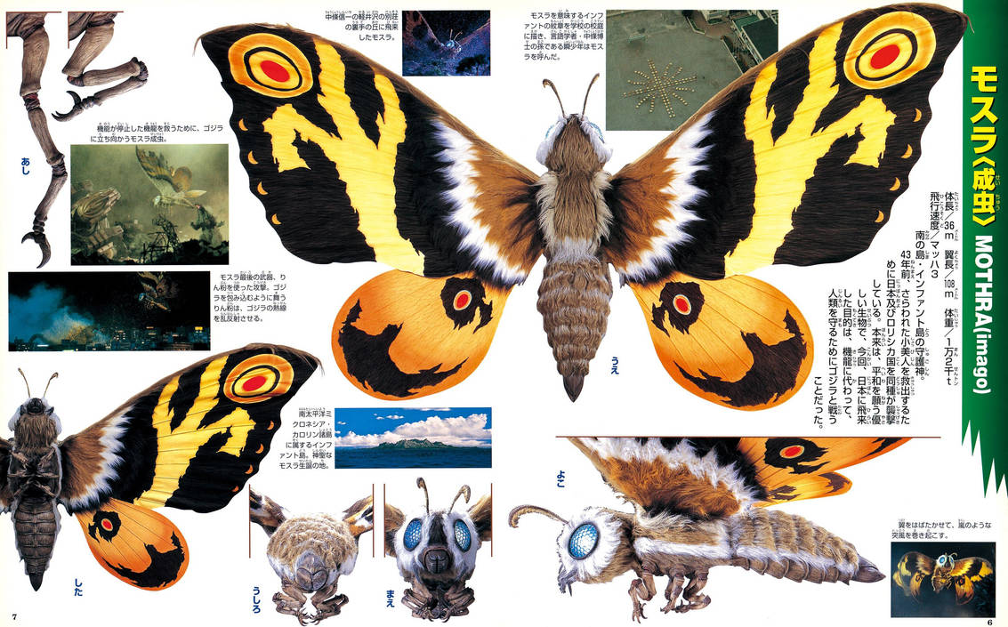 Photos of Mothra 2003 by DrGezora34 on DeviantArt