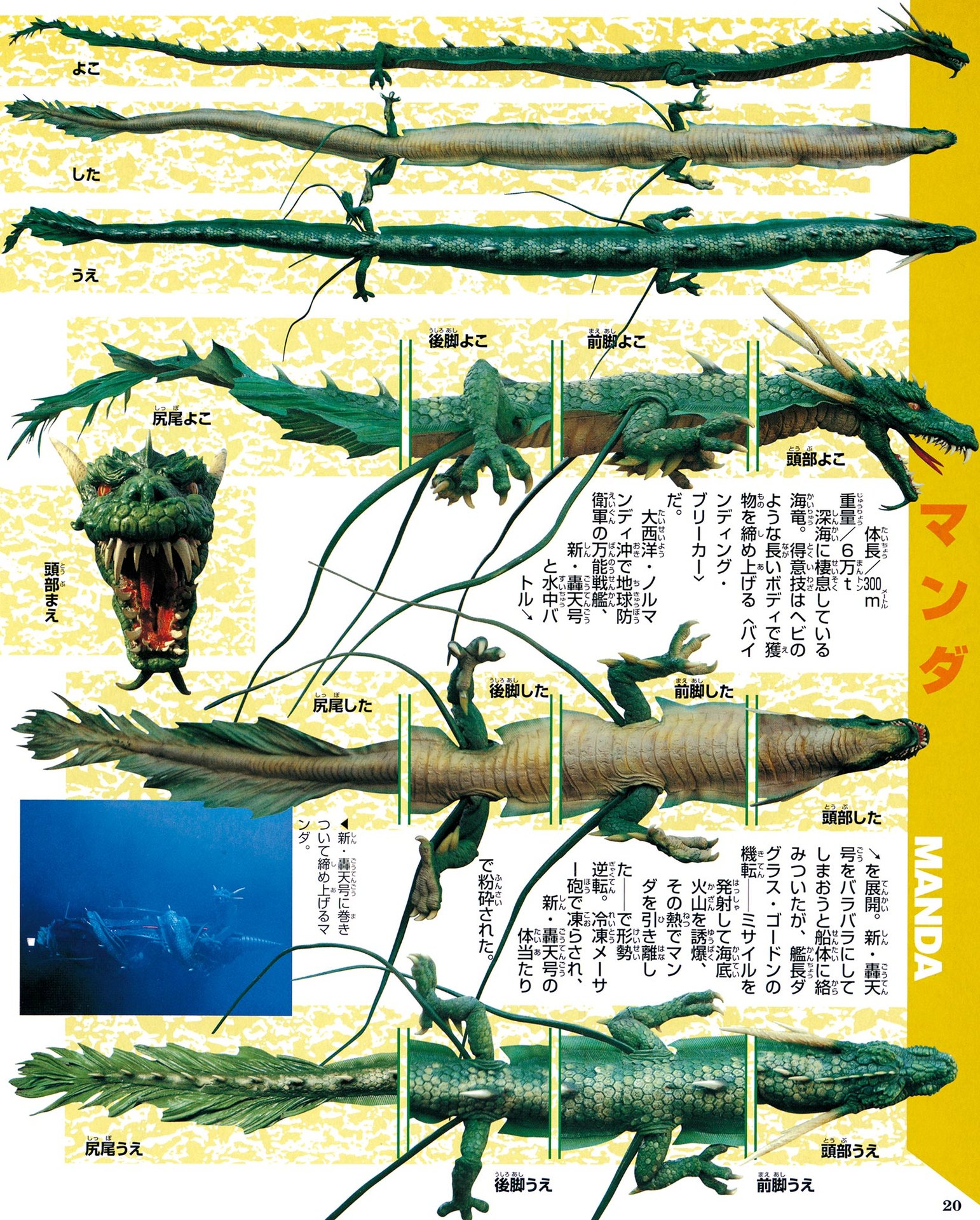 Photos of Manda 2004 by DrGezora34 on DeviantArt