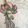 Shadow The Hedgehog