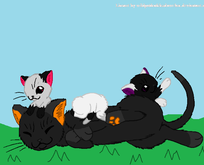 Darkpaw and her kits