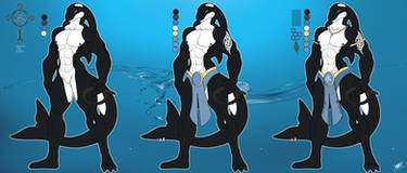 Killer Whale_Flat color chart