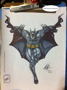 The Batman completed and up close X3