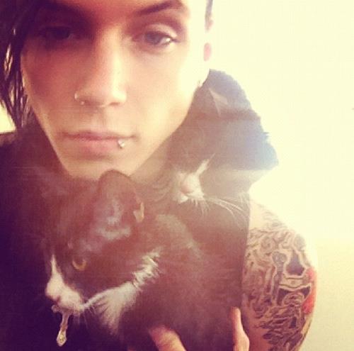 Andy And A Cat