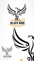 Black-bird1