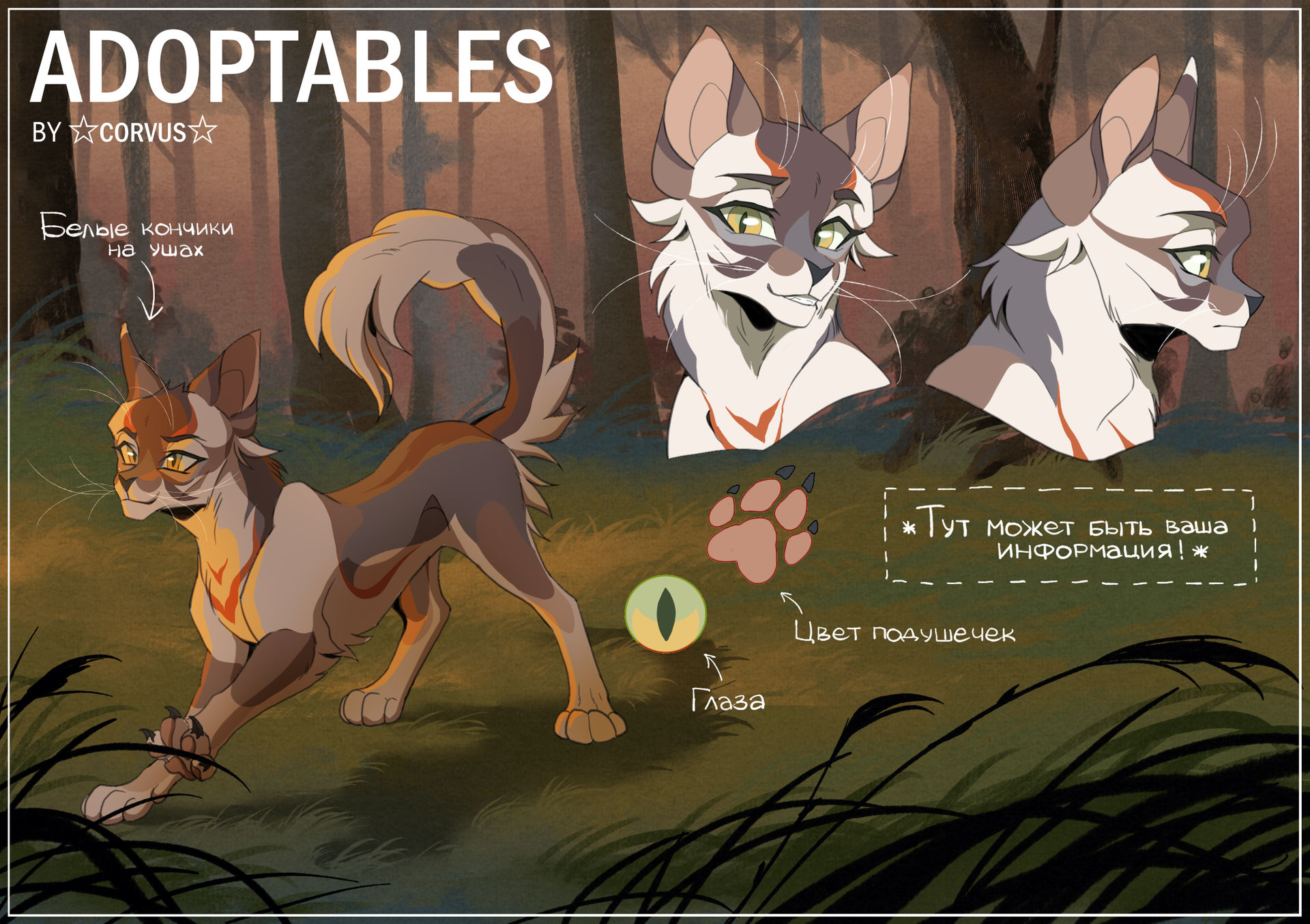 Kito Kit WARRIOR CATS ADOPTABLES By CorvusRF On DeviantArt kito-kit-warrior-cats-adoptables-by-corvusrf-on-deviantart