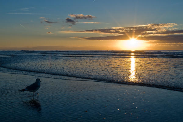 Sunset and the beach