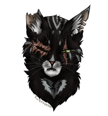 Shadowstar ~ Realistic Headshot