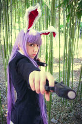 Don't Run Away. [Reisen Udongein Inaba]